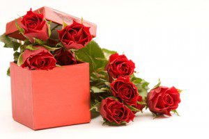 Valentines roses